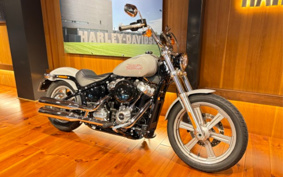 HARLEY FXST1340-1450 2024 BVJ