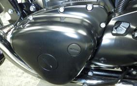 KAWASAKI W800 CAFE 2021 EJ800B