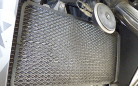 KAWASAKI VERSYS X250Aﾂｱﾗｰ LE250D