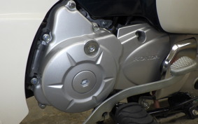 HONDA C50 SUPER CUB AA09