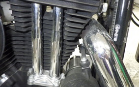 HARLEY XL1200NS 2019