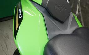 KAWASAKI ZX-25R 2024 ZX250E