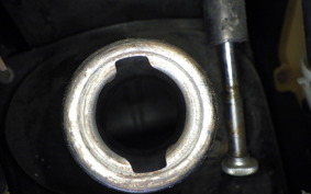 OTHER +UNREGISTERED MODEL by BDS TRIKE200