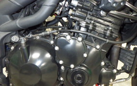 TRIUMPH SPEED TRIPLE 2011
