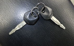 SUZUKI GRASS TRACKER 2016 NJ4DA