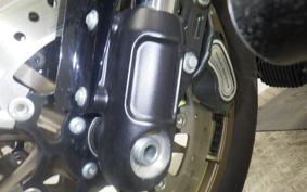 HARLEY FXLRS1920 2025