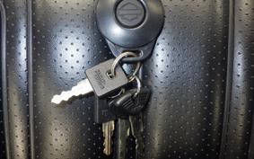 HARLEY XL883RI 2010