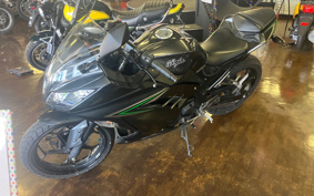 KAWASAKI NINJA 250 EX250L