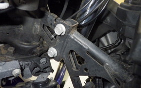 YAMAHA YZF-R25 RG10J