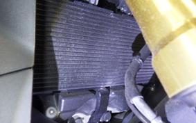 HONDA X-ADV 750 2021 RH10