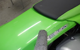 KAWASAKI KLX230S 2010 LX232A