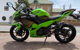 KAWASAKI NINJA 250 KRT ED EX250Y