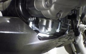 TRIUMPH SPEED TRIPLE RR 2022