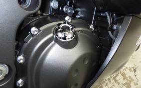 KAWASAKI ZX 1400 NINJA R A 2020