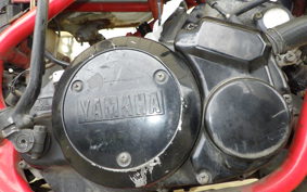 YAMAHA RZ250RR 2025 29L