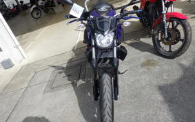 YAMAHA MT-25 RG43J
