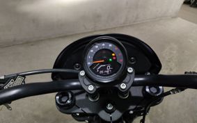 HARLEY FXLRS1920 YWZ