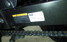 KAWASAKI Z250 SL 2021 BR250E