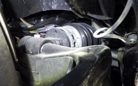 HARLEY FXLR1750 2019