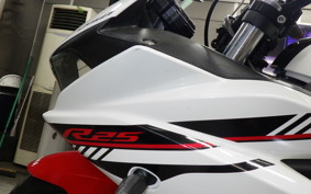 YAMAHA YZF-R25 2017 RG10J