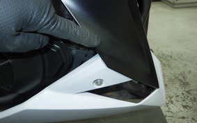 KAWASAKI Z250 ER250C