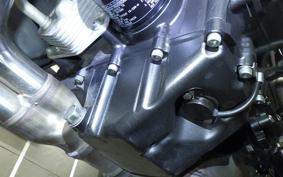 YAMAHA MT-09 ASP 2019 RN52J