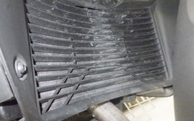 KTM 250 ADVENTURE 2024