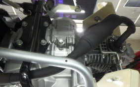 HONDA C110 SUPER CUB 2025 JA59