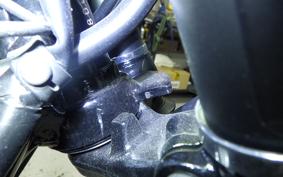 KAWASAKI W800 STREET 2021 EJ800B