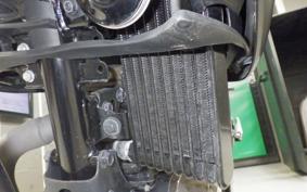 SUZUKI ｼﾞｸｻｰ250 ED22B