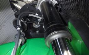 KAWASAKI ZX 1400 NINJA R A 2019