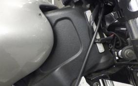 INDIAN Scout 2024