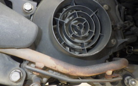 HONDA BENLY 50 AA03