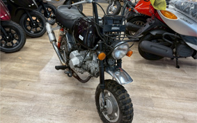 HONDA GORILLA Z50J