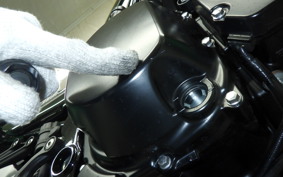 KAWASAKI Z900RS 2024