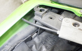 KAWASAKI NINJA 250R 2020 EX250K
