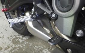 TRIUMPH DAYTONA660 2024