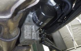 KAWASAKI NINJA 1000 SX 2024 ZXT02K