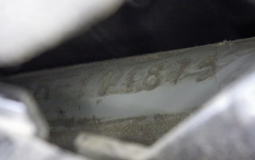 SUZUKI SKYWAVE250SS-2(ｼｮﾅｼ CJ46A