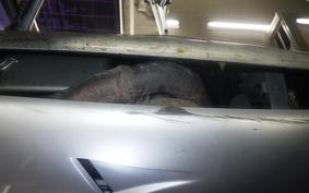 MV AGUSTA F4 1000 S 2006