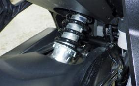 TRIUMPH TRIDENT 660 2024