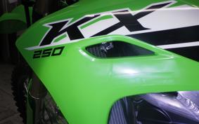 KAWASAKI KX250 2007 KX252E