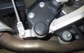 SUZUKI DL650 ( V-Strom 650 ) XTA 2017 C733A