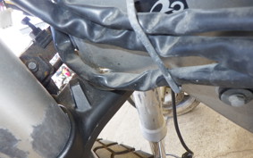 KAWASAKI KLX250 Gen.2 LX250S