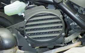 HONDA ZOOMER 2025 AF58