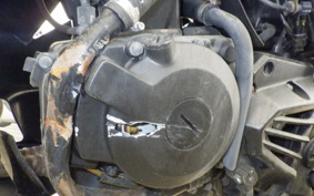 KAWASAKI NINJA 250R EX250K