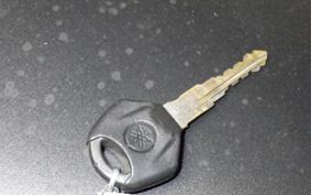 YAMAHA YZF-R25 A 1998 RG43J