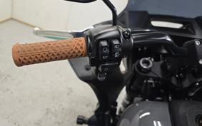 HARLEY FXLRST 2022 YXZ