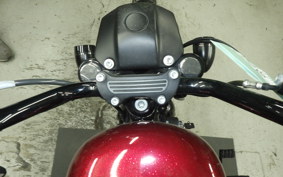 HARLEY XL883N 2017