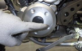 KAWASAKI KLX125 2010 LX125C